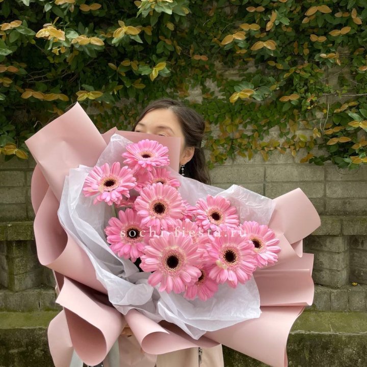 13 розовых гербер в Сочи