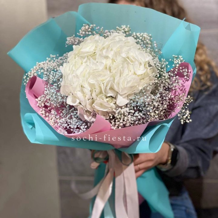 Гортензия "Райдов" в Сочи