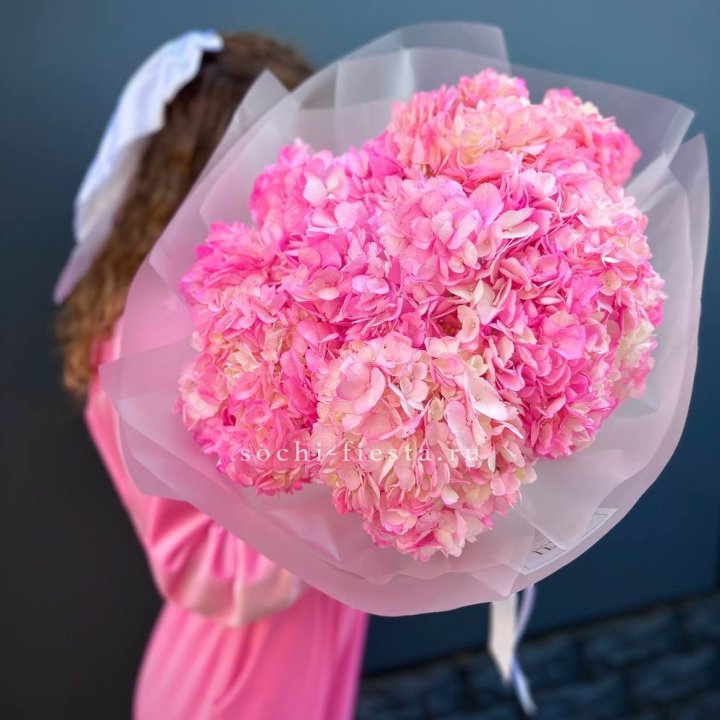 7 ярко розовых гортензий в Сочи