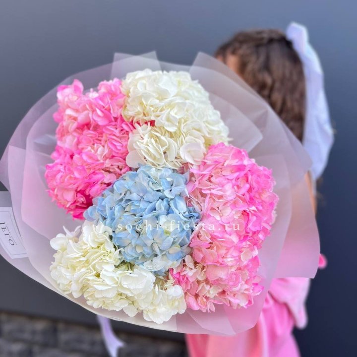 7 гортензий микс в Сочи