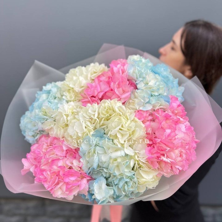 9 гортензий микс в Сочи