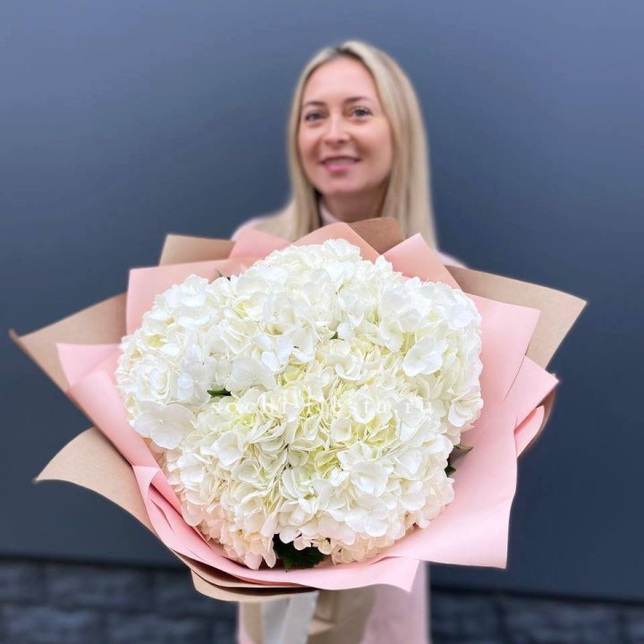 Гортензия Flakes в Сочи