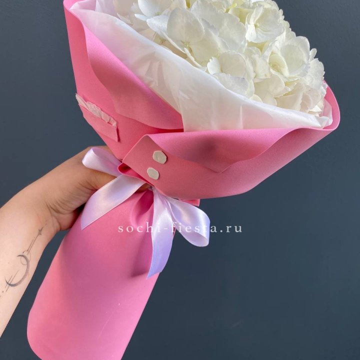 Гортензия в розовом пиджаке в Сочи