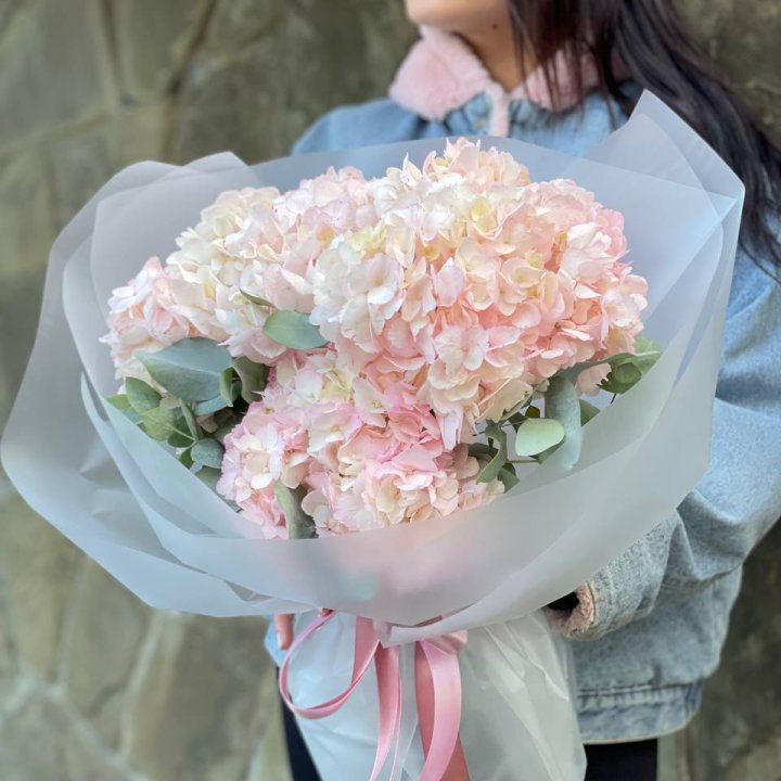 5 розовых гортензий в Сочи