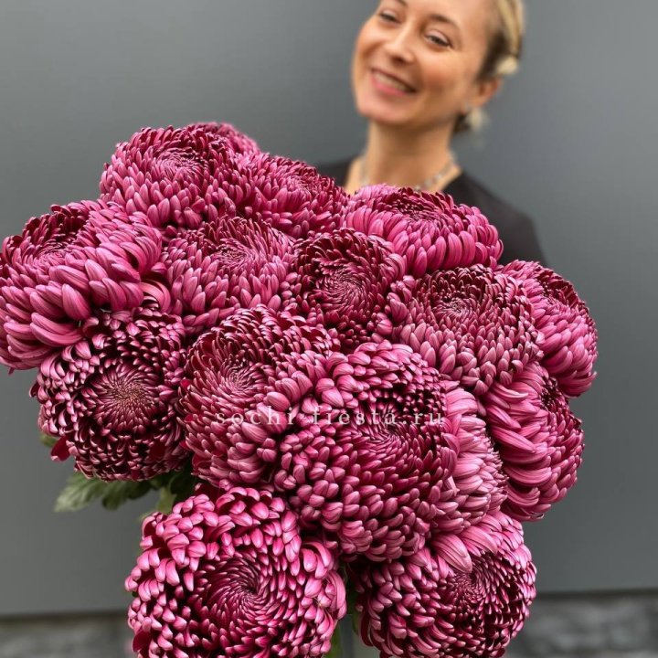 Охапка хризантем Бигуди в Сочи