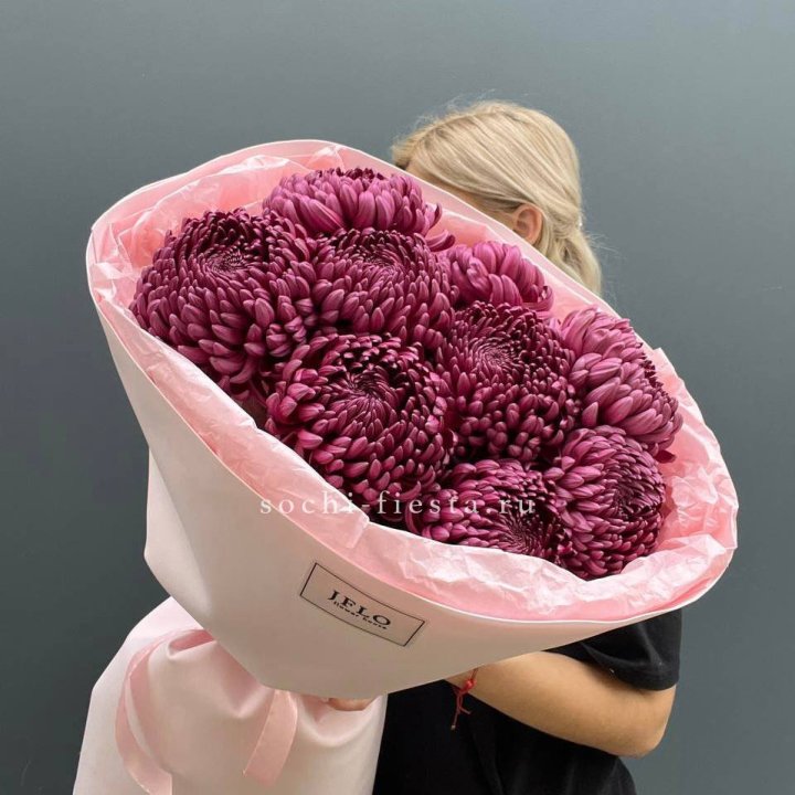 9 хризантем бигуди в Сочи