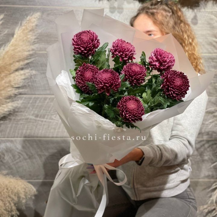 Хризантемы Бигуди в Сочи