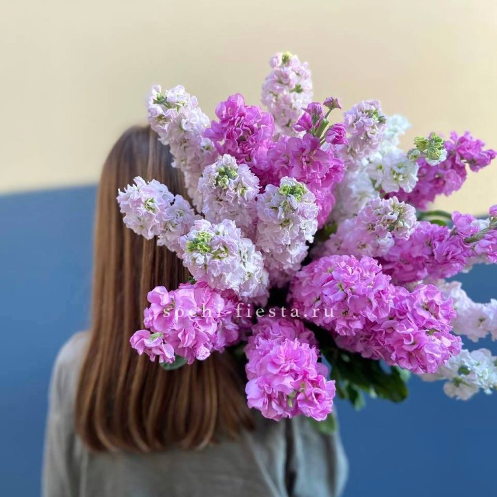 Охапка маттиолы в Сочи