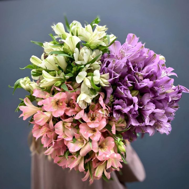 Охапка Альстромерии в Сочи