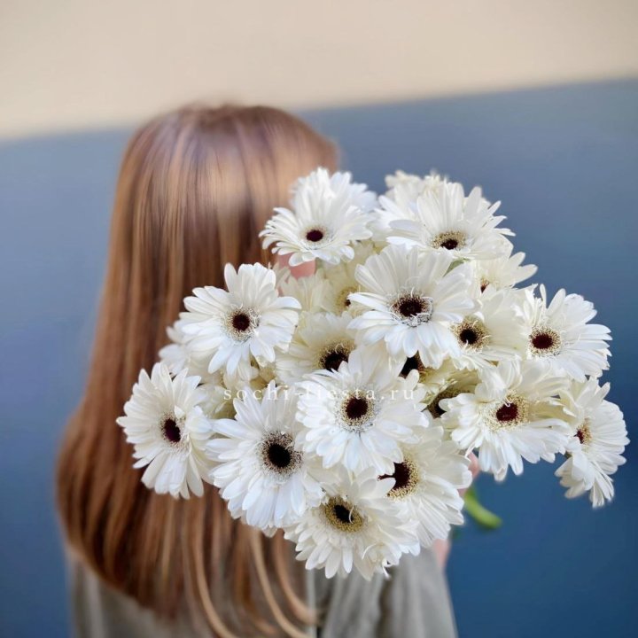 Охапка гербер в Сочи