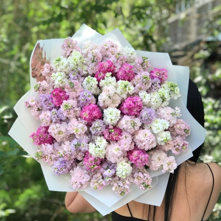 Букет ароматной маттиоллы №3 в Сочи