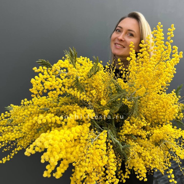 Охапка мимозы №2 в Сочи