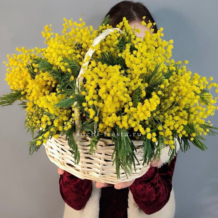 Корзина ароматной мимозы в Сочи
