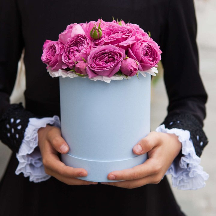 Бокс мини мисти в Сочи