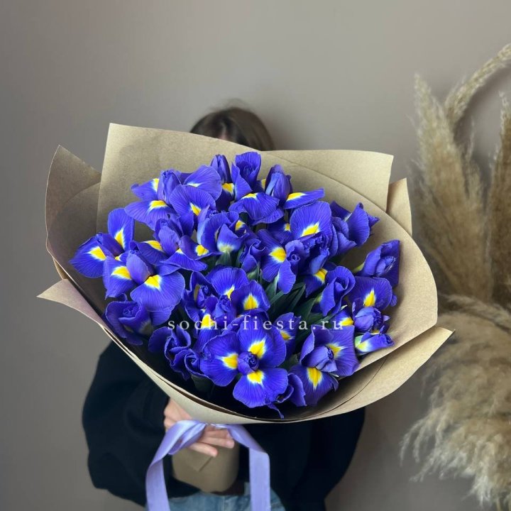 Ирисы в Сочи