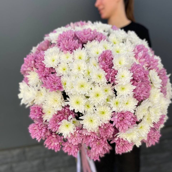  Букет 25 хризантем микс в Сочи
