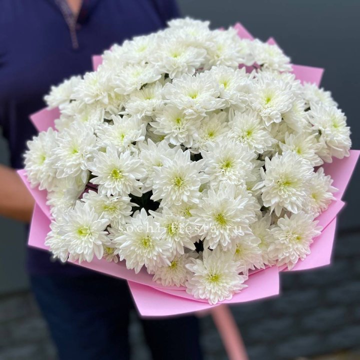  Букет 15 хризантем  в Сочи