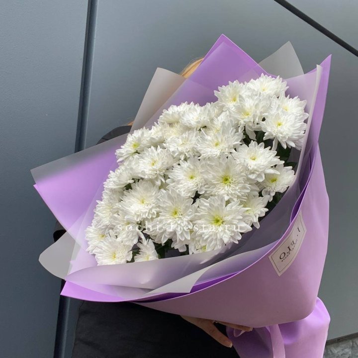  7 хризантем  в Сочи