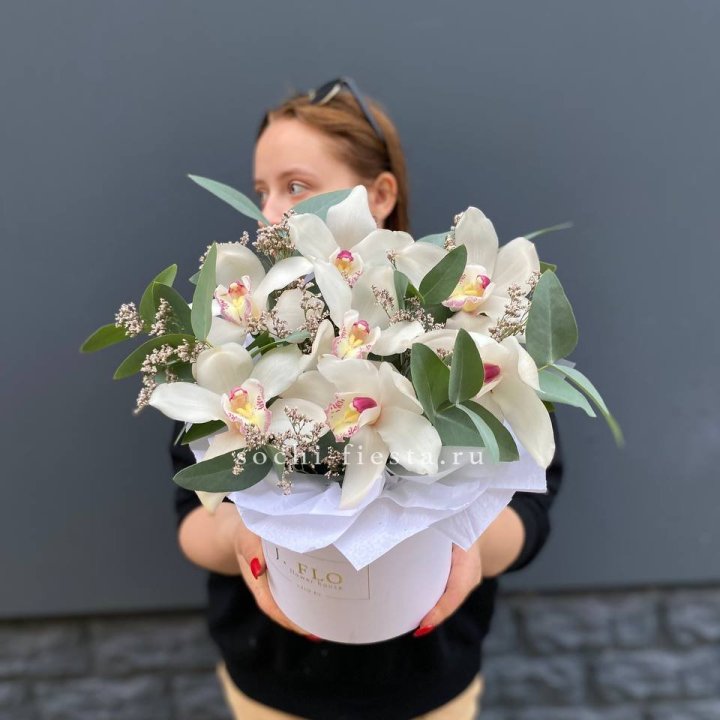 7 орхидей в боксе в Сочи