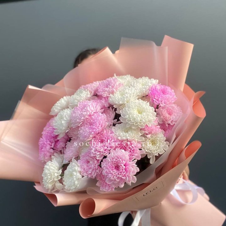 Букет бело-розовых хризантем  в Сочи