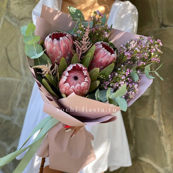 Букет из протеи "Клеопатра"  в Сочи