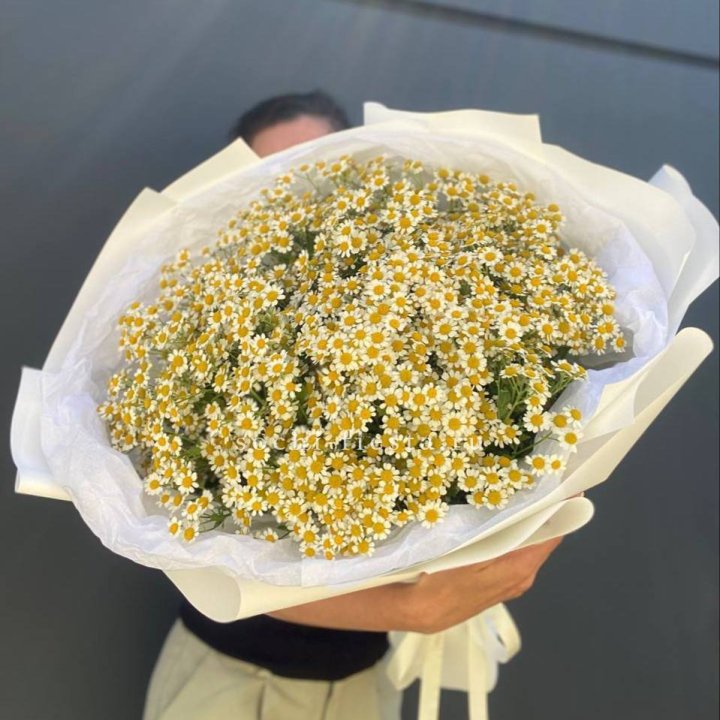 Букет ромашек №2 в Сочи