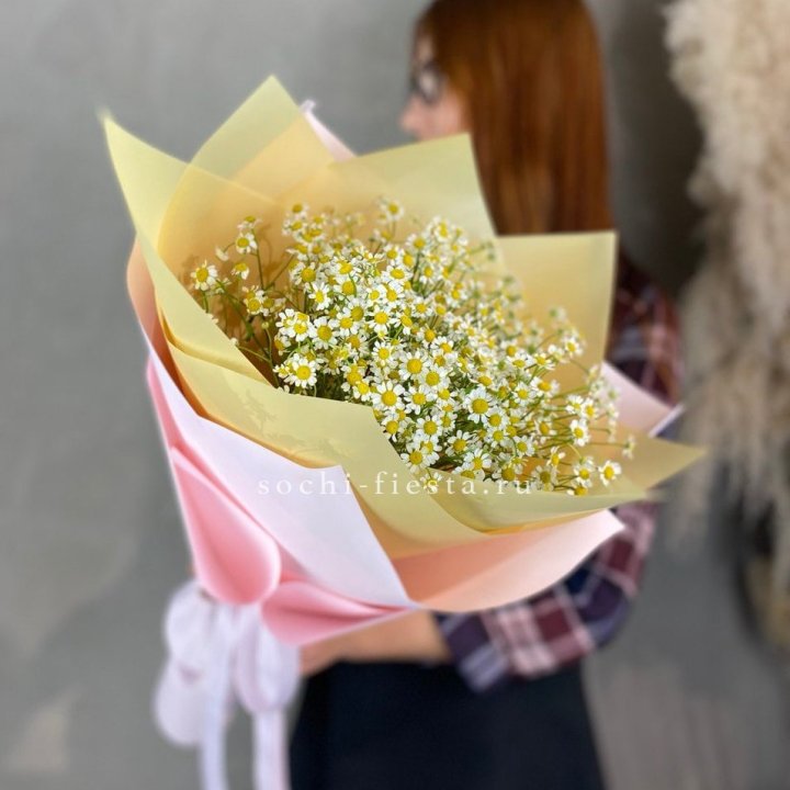 Букет ромашек №3 в Сочи