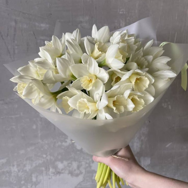 25 нарциссов в Сочи