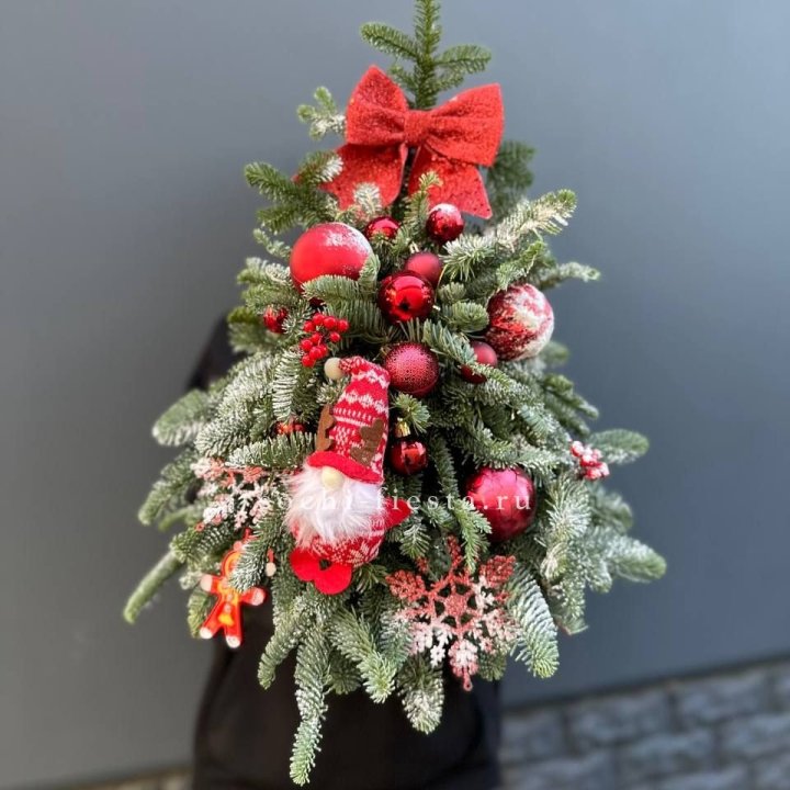 Новогодняя елочка "Ред" в Сочи