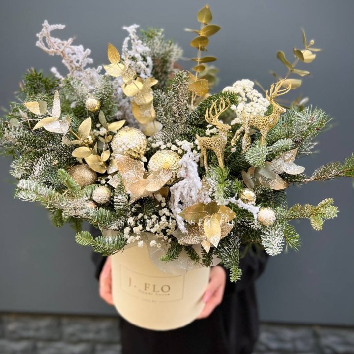 Золотой бокс с нобилисом в Сочи