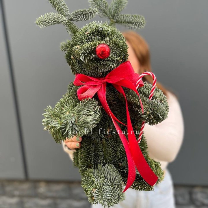 "Олень" из нобилиса в Сочи