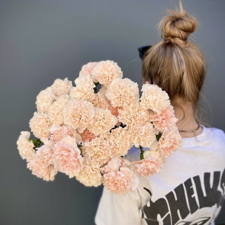 Охапка Диантусов  в Сочи