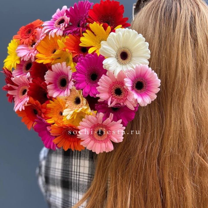 Охапка гербер  в Сочи