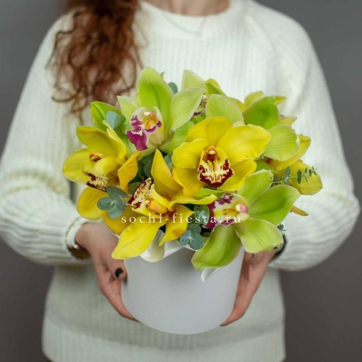 Бокс с орхидей №1 в Сочи