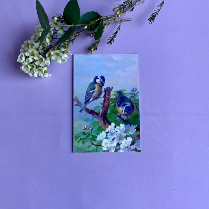 Открытка к букету "Птицы" в Сочи