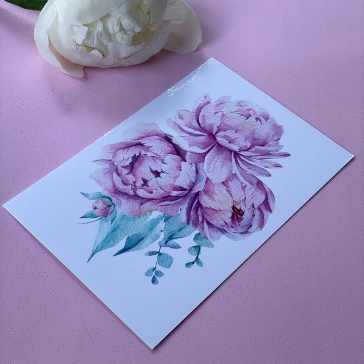 Открытка к букету "Пионы" в Сочи