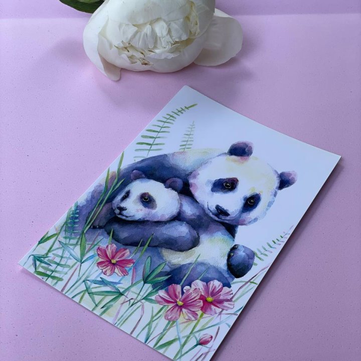 Открытка к букету "Объятие Панды" в Сочи