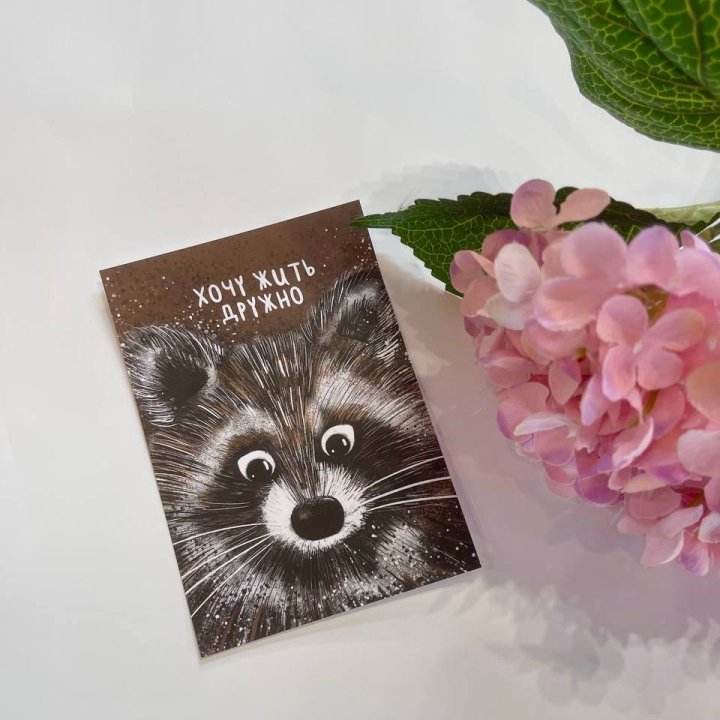 Открытка к букету "Енотик" в Сочи