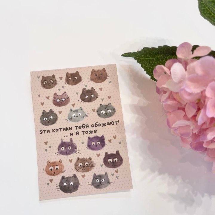 Открытка к букету "Котики" в Сочи