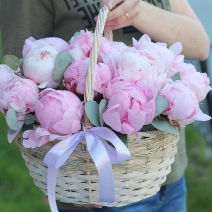 15 пионов в корзине в Сочи