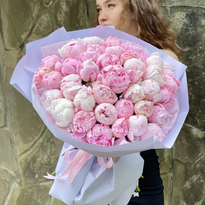 39 нежных пионов в Сочи