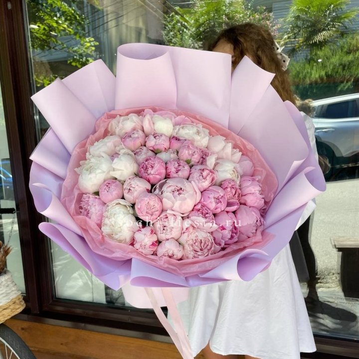 51 розовый пион в Сочи