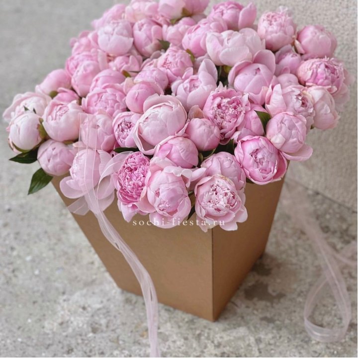 49 пионов в крафт коробке в Сочи