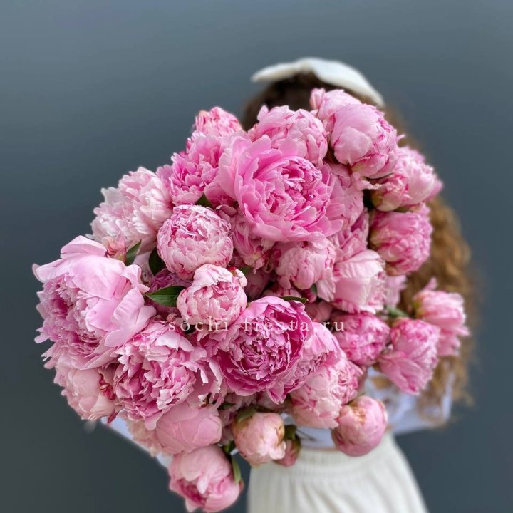 Охапка из 35 пионов в Сочи