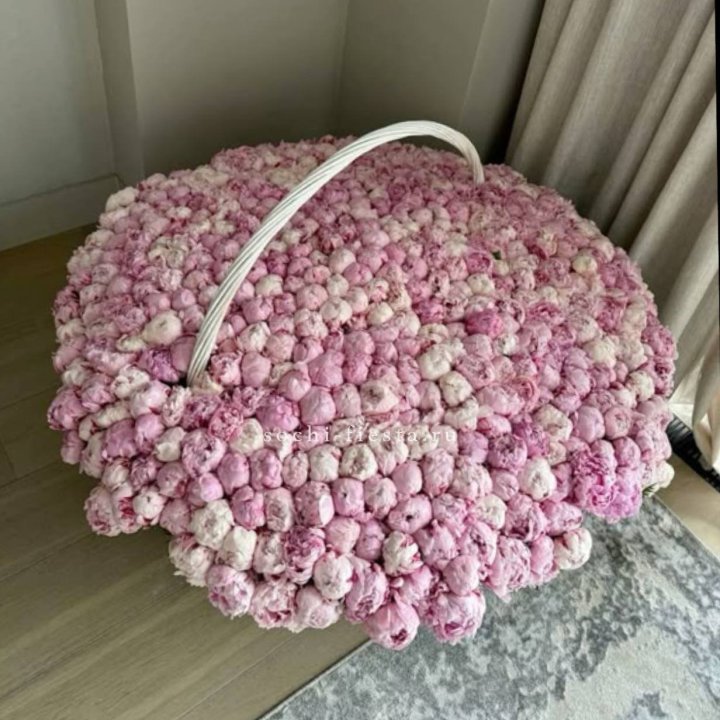 Корзина 555 пионов в Сочи