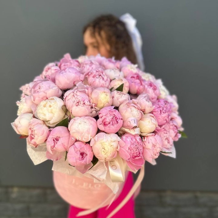 51 нежных пионов  в цилиндре в Сочи