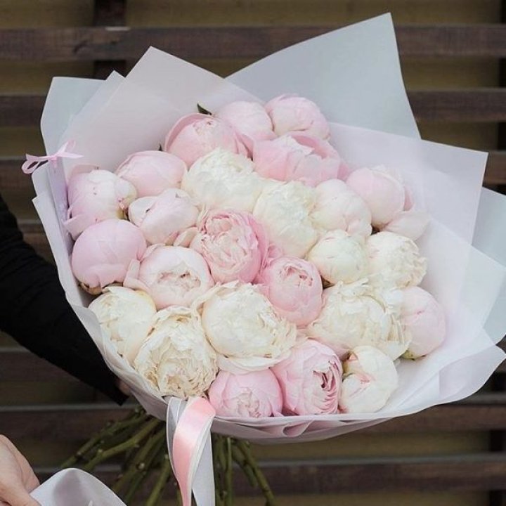 29 пионов в Сочи