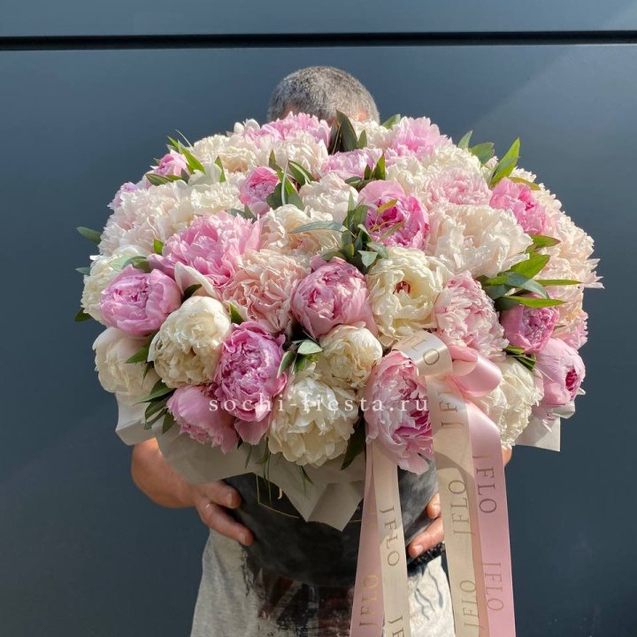 51 пионов в боксе в Сочи