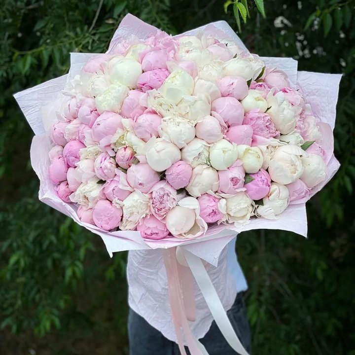 101 пион в Сочи