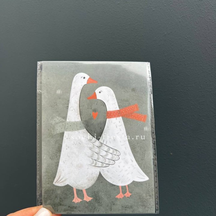 Открытка к букету "Гуси” в Сочи